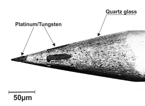 Tetrodes for Thomas Manipulators