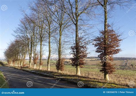 English Countryside in Hampshire, Southern England Stock Photo - Image of season, house: 138356078