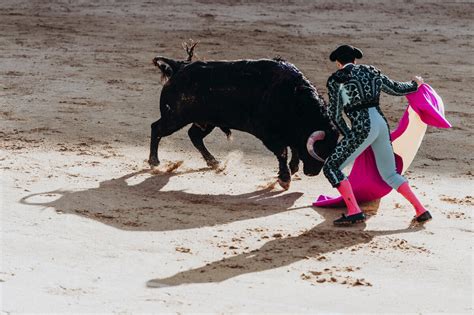 Tipos de estocadas - Turismo Navas de San Juan