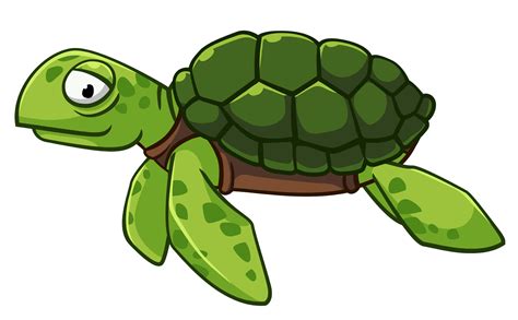 Sea Turtle Cartoon Png