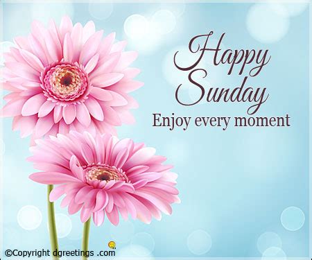 Happy Sunday to you all - Olomoinfo