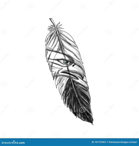 Sea Eagle Feather Tattoo stock illustration. Illustration of birds - 101797807