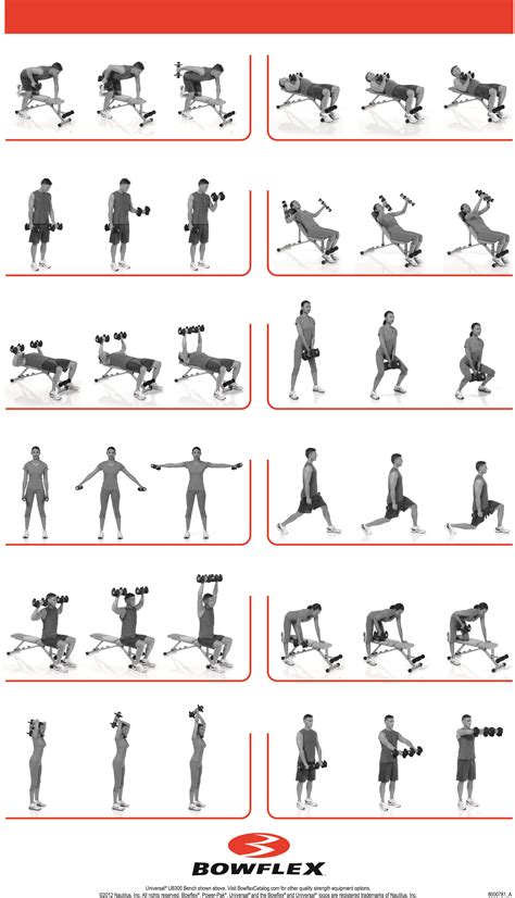 Dumbbell Workout Chart Pdf | Gennifer Flowers Penthouse Photo