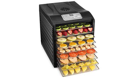 Magic Mill Food Dehydrator: An Honest Review | HealthyMealsHub.com