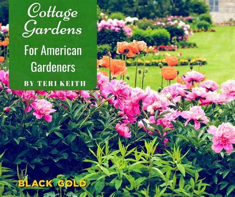 Cottage Gardens for American Gardeners – Black Gold