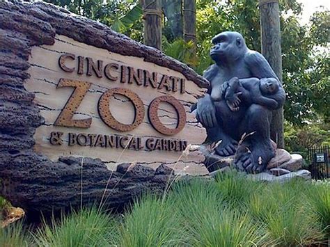 Cincinnati Zoo to offer free admission to military this Labor Day – WHIO TV 7 and WHIO Radio