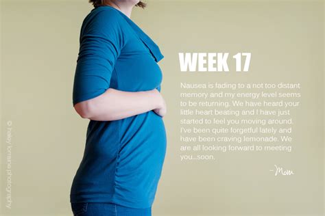 17 weeks | Pregnancy Series - Haley Lorraine Photography