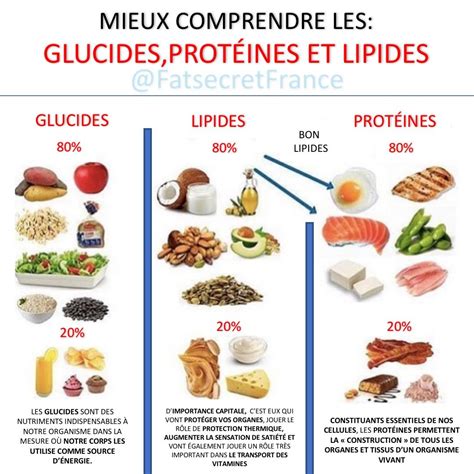 Les Glucides: Quesque Les Glucides Et Les Lipides