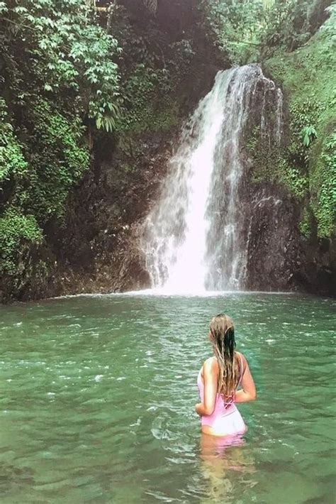 Grenada's Best Waterfalls: Caribbean Travel Guide | Tea N Sea Travel ...