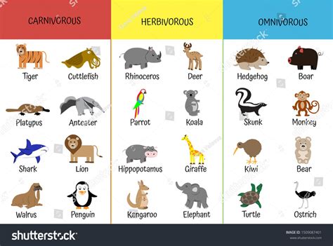 Carnivores Herbivores Omnivores Animals By Category Stock Vector (Royalty Free) 15090 ...