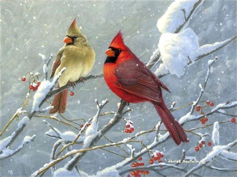 Oiseaux en peinture - James Hautman - Balades comtoises | Bird art ...