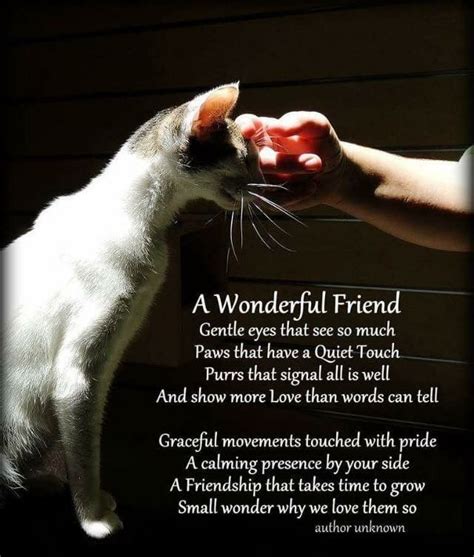 Pin by DeAnna Sampson on CATS - Glorious Kitties | Cat poems, Crazy cats, Cat quotes