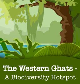 Exploring The Western Ghats, India's Biodiversity Hotspot!