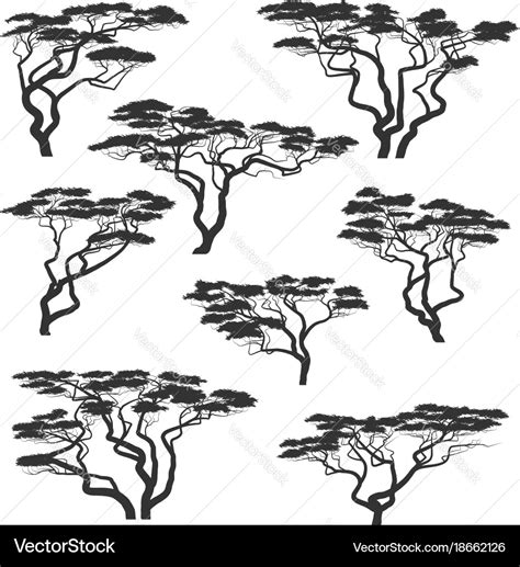 Silhouettes of african acacia trees Royalty Free Vector