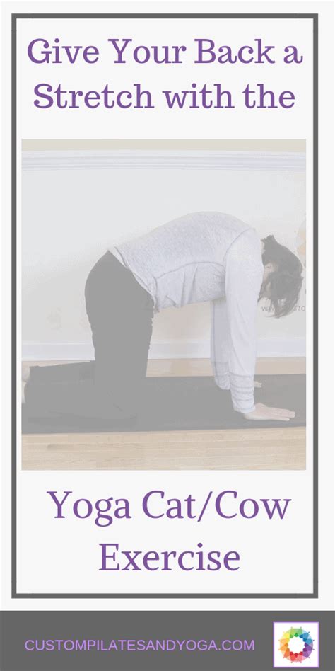 Give Your Back a Stretch with the Yoga Cat/Cow Exercise - Custom Pilates and Yoga