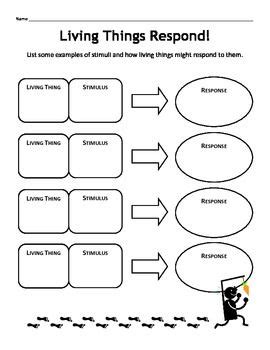 Stimulus & response worksheet | Brainstorming activities, Student created, Fourth grade science