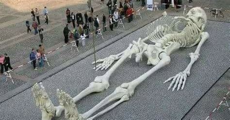 Skeleton of Ghatotkach? No, it's a gigantic sculpture by an Italian artist - Alt News