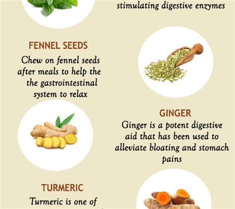 NATURAL REMEDIES FOR BLOATING - The Little Shine