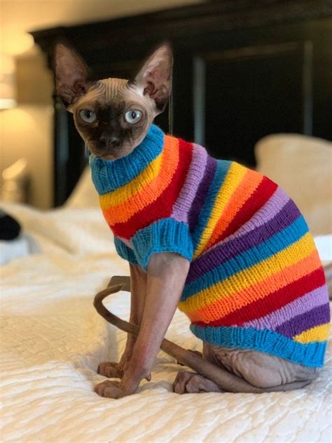 This item is unavailable | Etsy | Sphynx cat clothes, Cat sweaters, Cat clothes