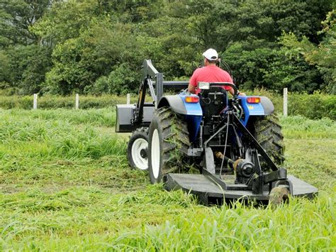 What is Bush Hogging? - Nelson Tractor Blog