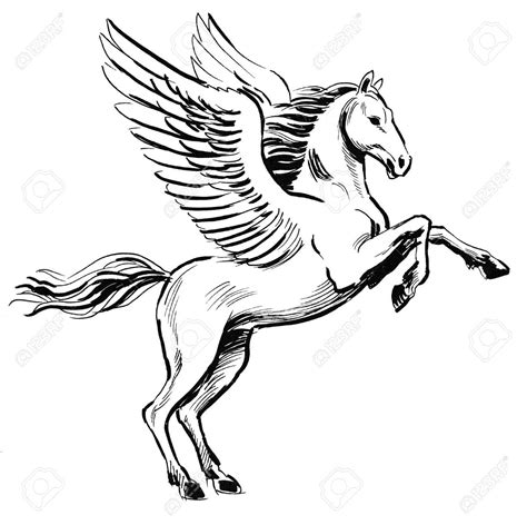 White Pegasus horse. Ink black and white illustration Stock Photo , #AD ...