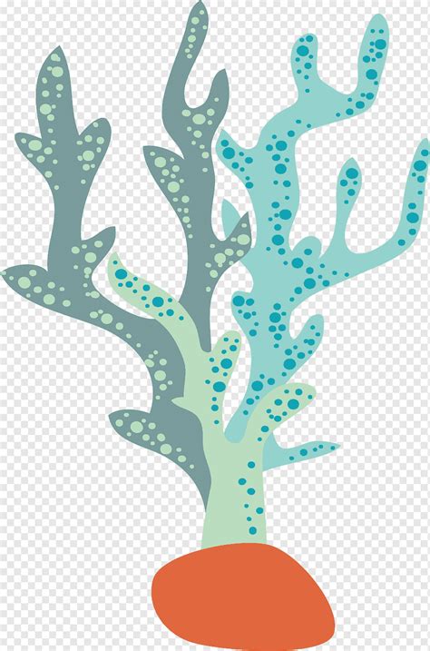 sea plantss - Clip Art Library