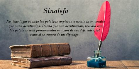 SINALEFA » Definición, Concepto Y 20 Ejemplos Explicativos