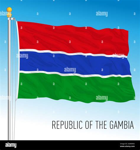 Gambia official national flag, african country, vector illustration ...