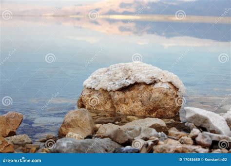 Dead Sea Salt stock photo. Image of sediments, mineral - 17085680