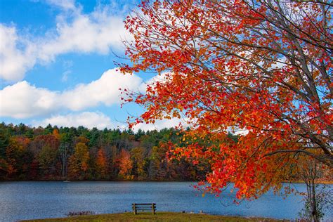 Beautiful Spots for Fall Foliage Viewing in New England