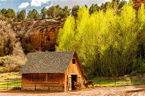 “Best Friends Animal Sanctuary” – Kanab, Utah – Howard Blichfeldt Photography