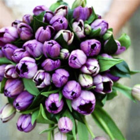 Bouquet | Tulip bouquet purple, Purple bouquets, Purple wedding bouquets