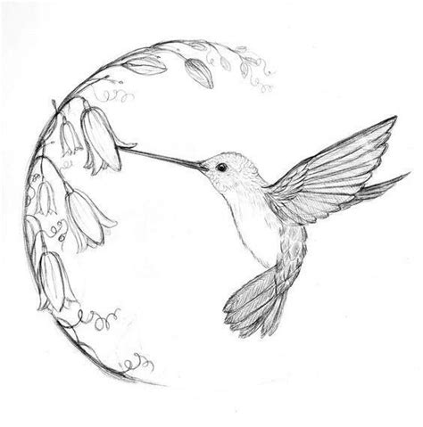 Pin by Inspiring Ink on Chic Womens Tattoos | Hummingbird drawing, Bird ...