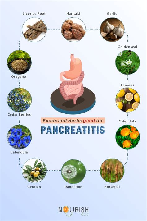 Pin on Pancreatic diet recipes