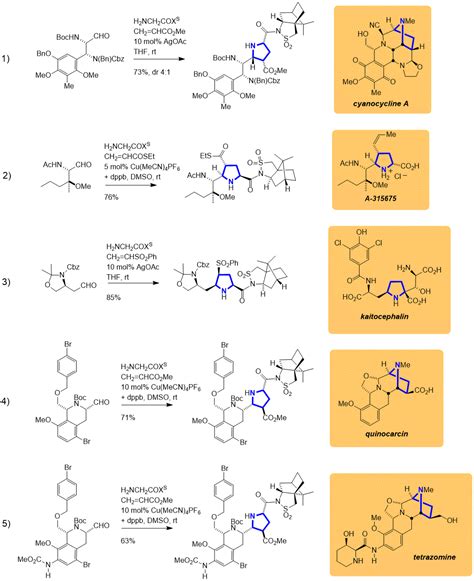 Organic Syntheses Procedure