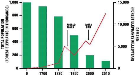 Elephant Poaching Graph