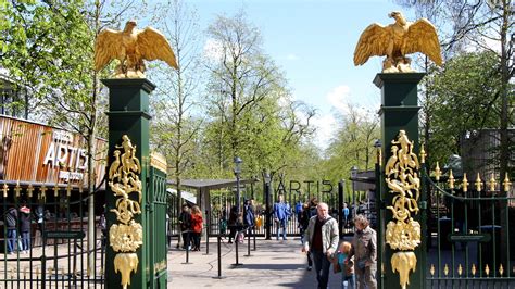 Ontdek alle dieren, planten en bomen in dierentuin ARTIS