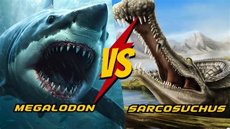 Sarcosuchus vs Megalodon: Clash of the Prehistoric Titans | Animal ...