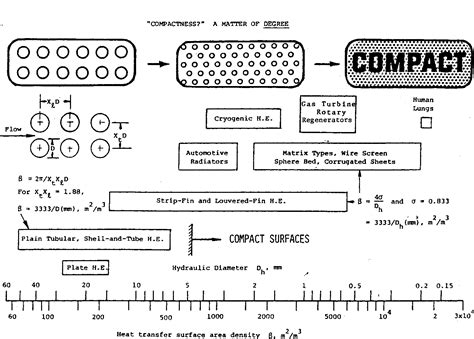 Fechtner syndrome (disorder) | Semantic Scholar