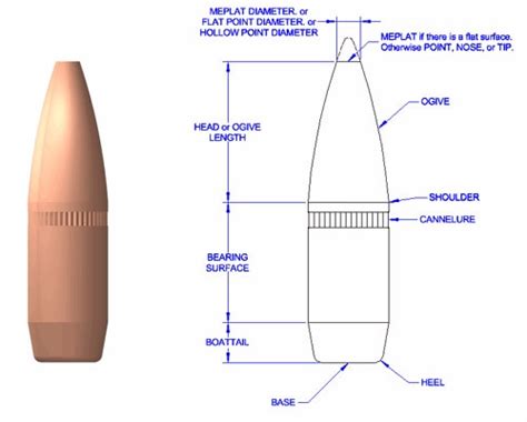 The Anatomy of a Bullet :: Guns.com