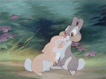 Rabbits Bunny GIF - Rabbits Bunny Kissing - Discover & Share GIFs | Disney kiss, Disney ...