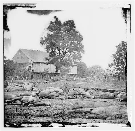 Civil War Blog » The Dead of Gettysburg