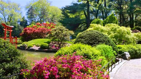 Brooklyn Botanic Garden - Botanic Garden in New York City - Thousand ...