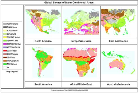 Major Biomes Map