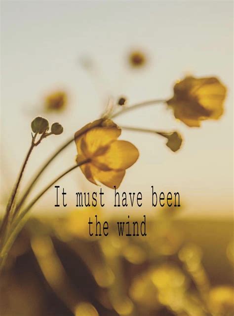 Alec benjamin wallpaper "must have been the wind" | Wind, Wallpaper, Must haves