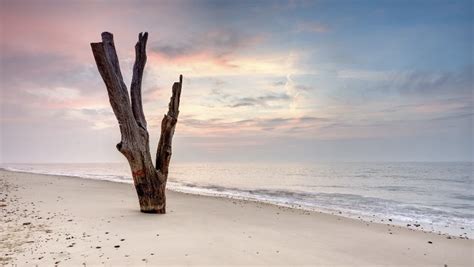 27 of the best beaches in East Anglia | Essex | Muddy Stilettos