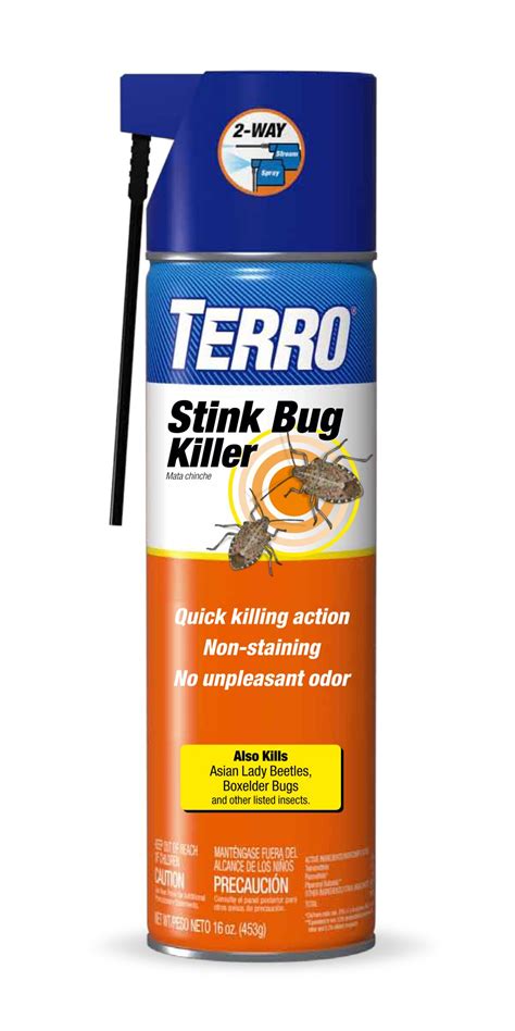 Stink Bug Removal | Stop Stink Bugs | TERRO®