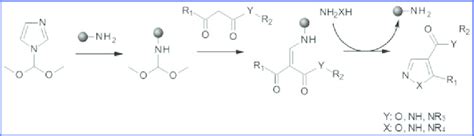 Reaction scheme for the solid-supported synthesis of pyrazoles and ...