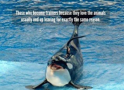 SeaWorld in quotes - those who become trainers | Those who b… | Flickr