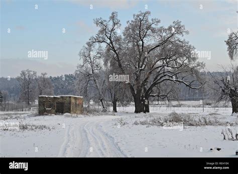 old barn in winter Stock Photo - Alamy